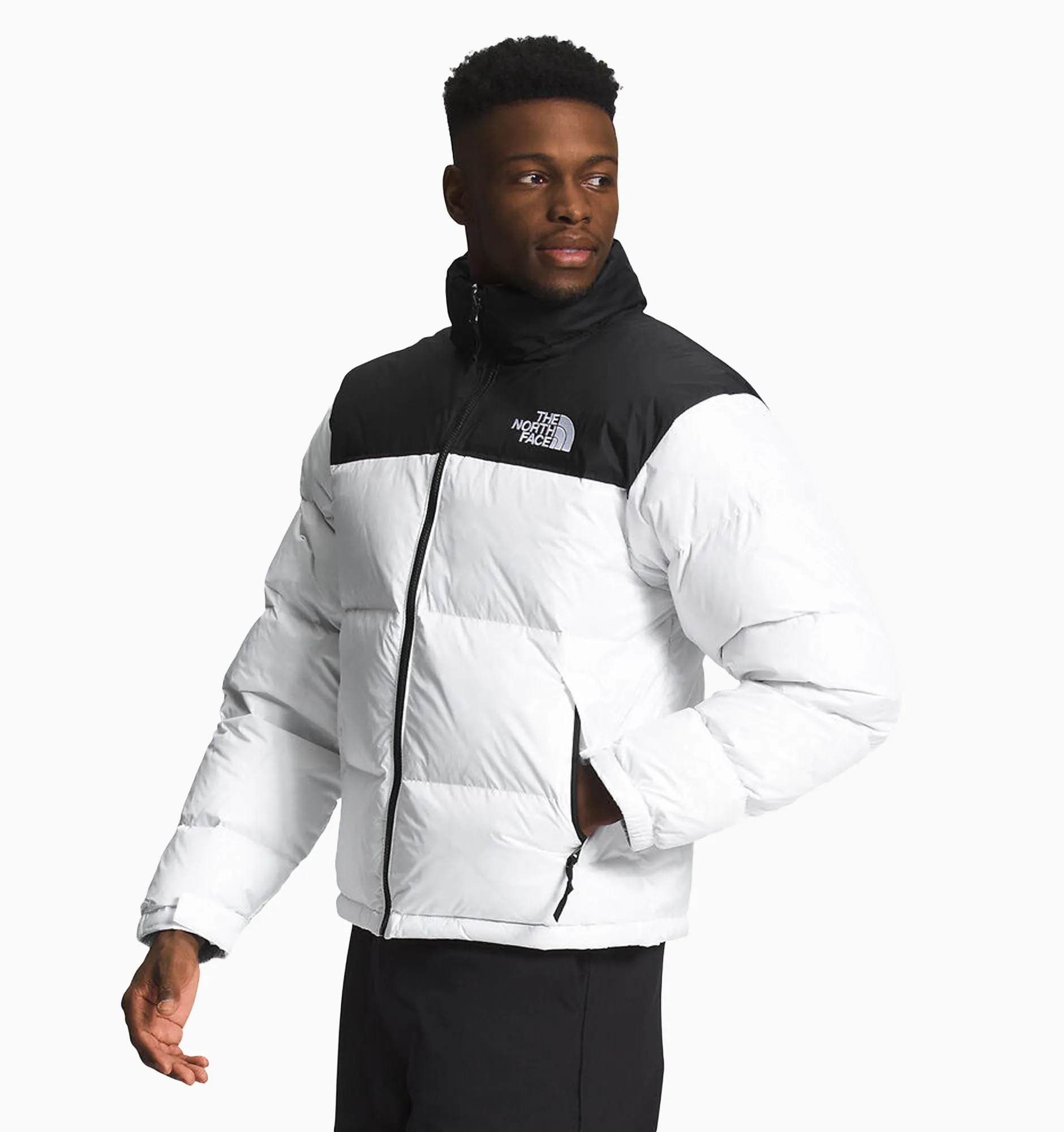 The North Face Men's 1996 Retro Nuptse Jacket